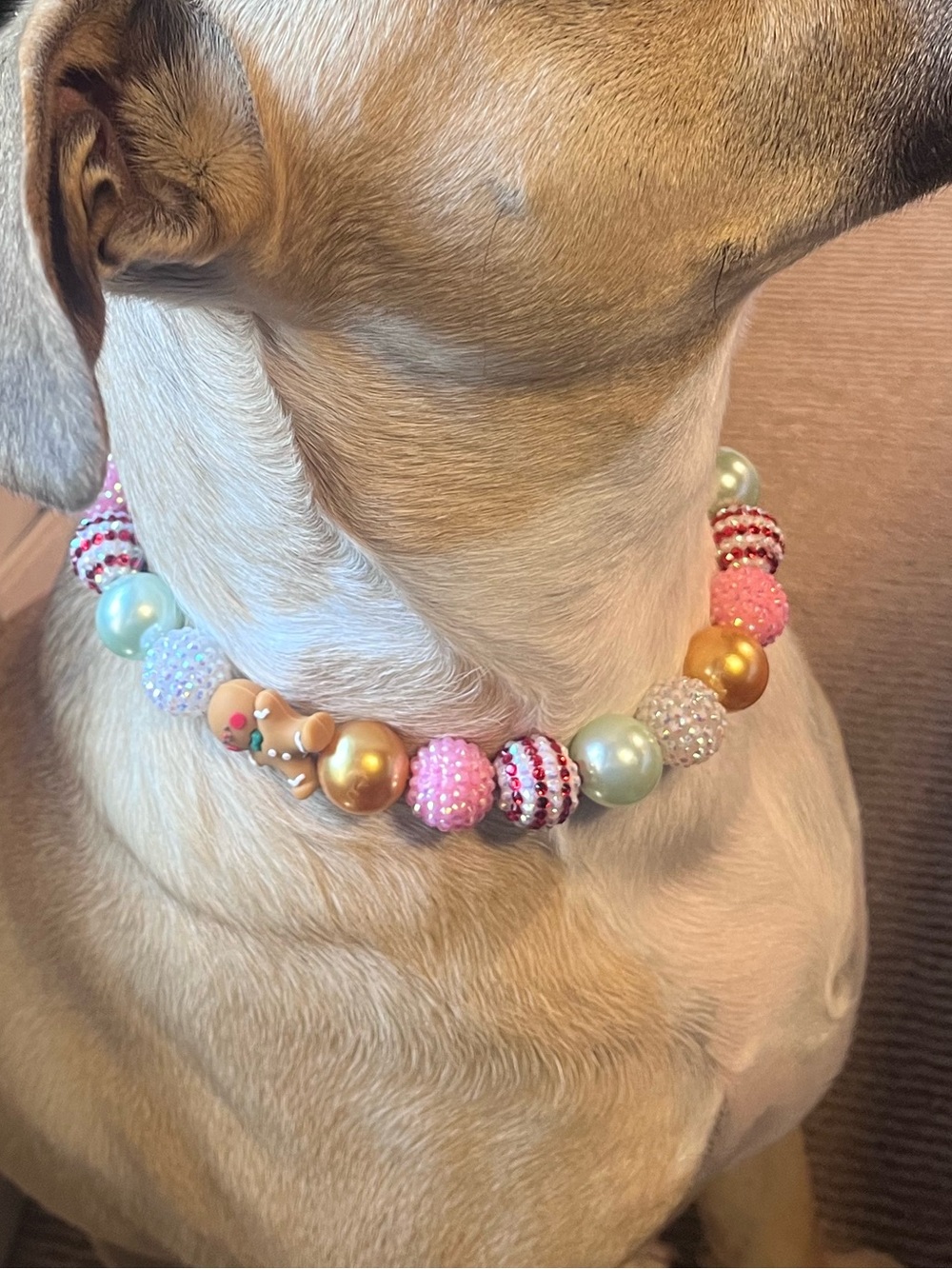 Dog collar necklaces - set of 4